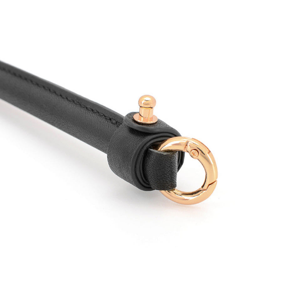 a bdsm riding crop