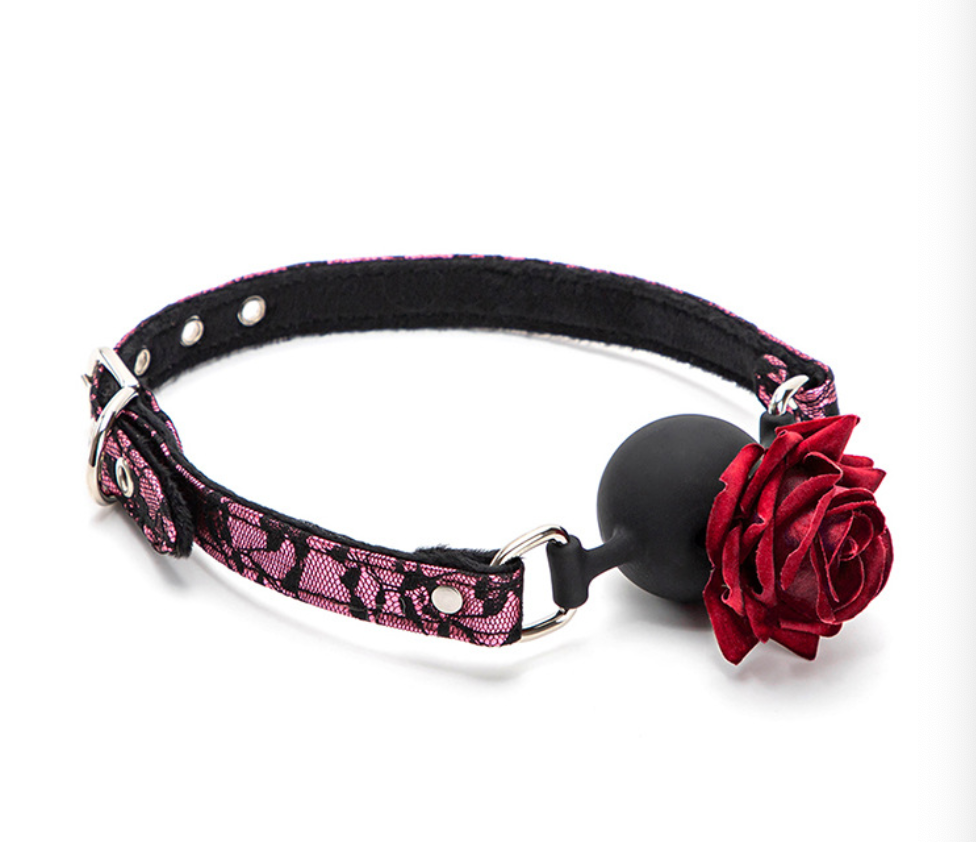 a mouth gag sex ball gag mouth