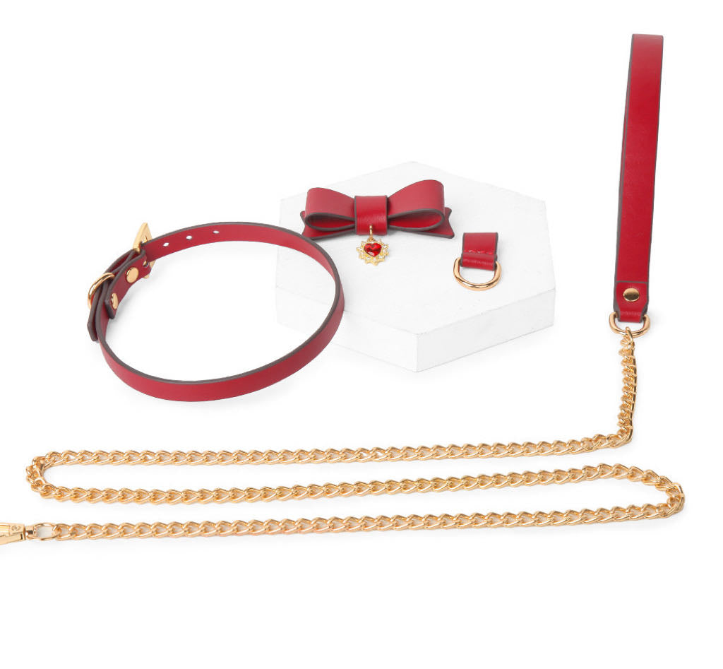 a red leather collar and leash set