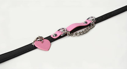 a sex collar and leash