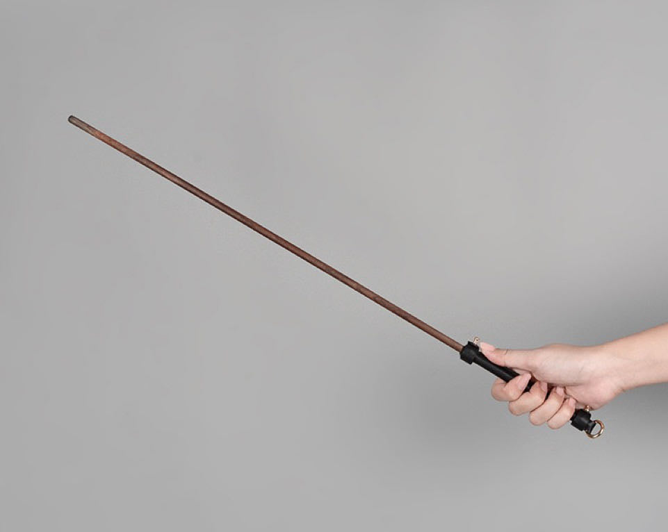 a spanking cane