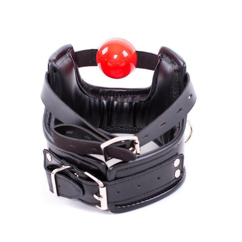 a ball gag and collar