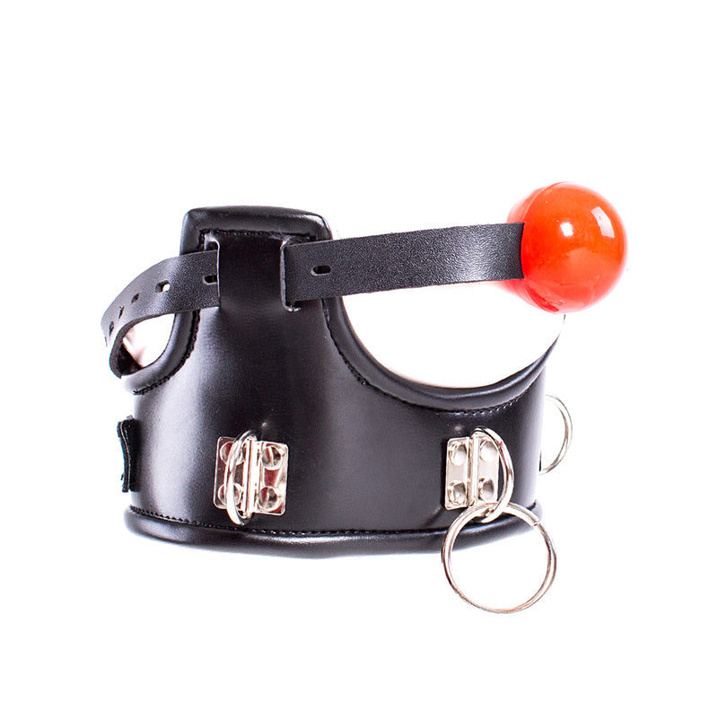 a ball gag and collar