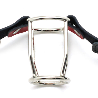 a double ring gag