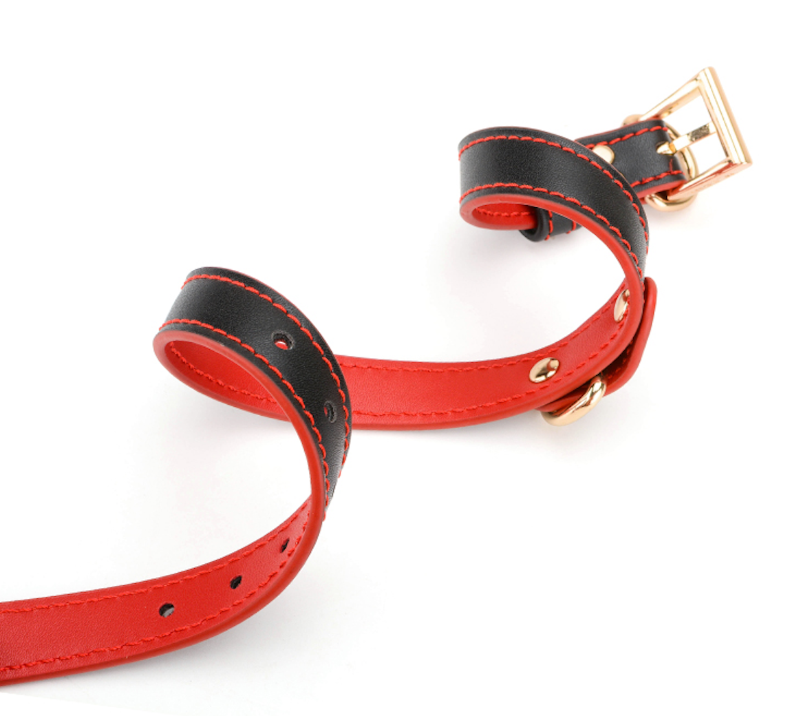 a black and red bdsm collar