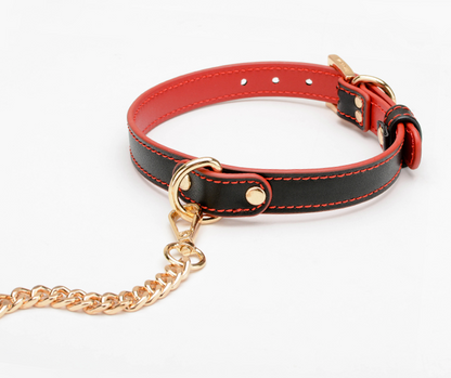 a black and red bdsm collar and leash set