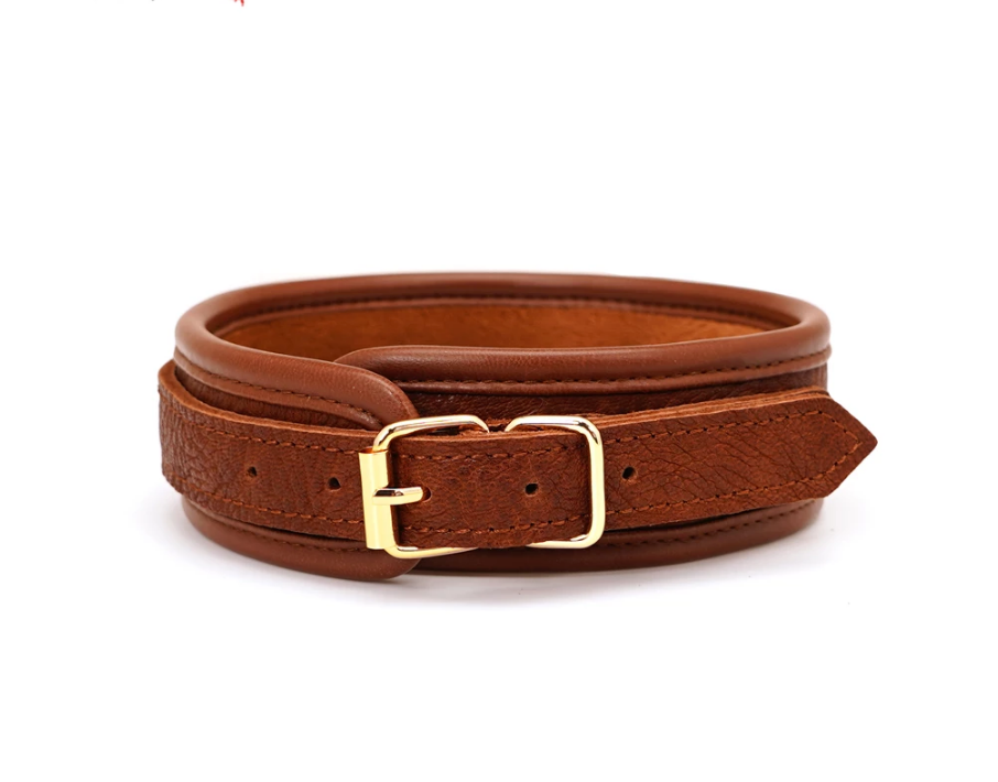 a Brown Leather Collar and Leash for Adults