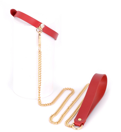 a red slave collar with leash