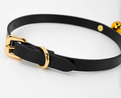 a black Collar and Leash BDSM choker