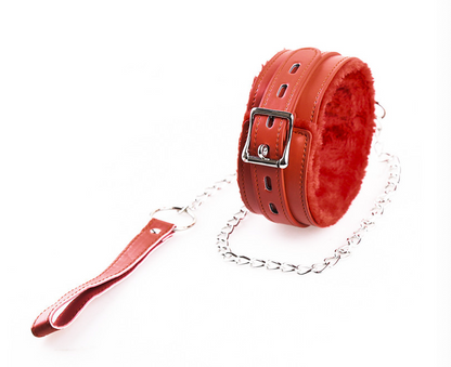 a red bdsm collar and leash set