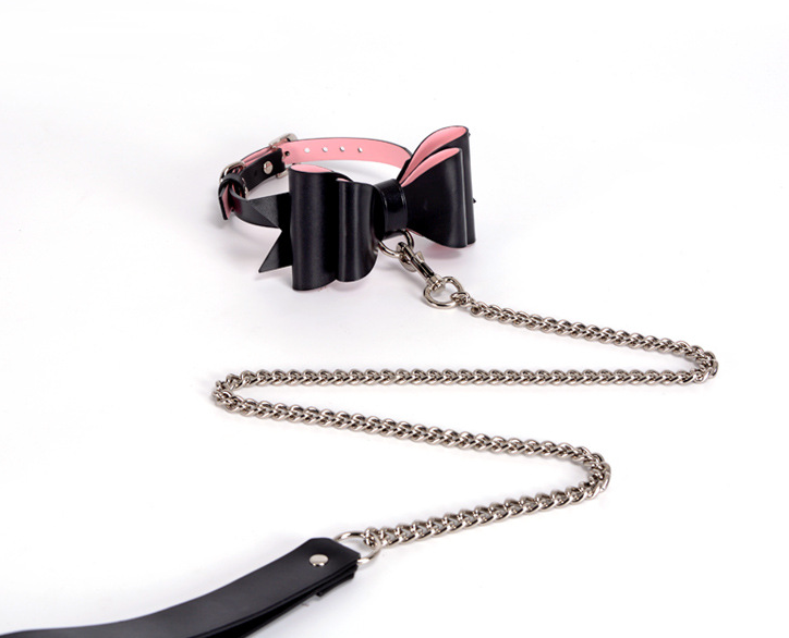 a black and pink collar and leash set